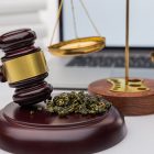 michigan Medical Marijuana