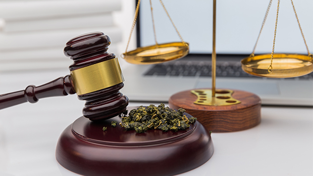 michigan Medical Marijuana