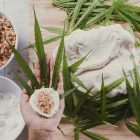 Marijuana Card Online Michigan